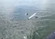 VIDEO Dronă găsită în Marea Neagră de un echipaj ARSVOM