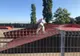 Dezinfectie în Gravity Park și în parcurile Țara Piticilor