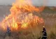 Incendiu violent de vegetaţie uscată la Poligonul Capu Midia, în urma tragerilor antiaeriene
