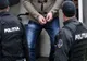 Scandalagiu încarcerat la Poarta Albă