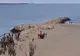 VIDEO Alertă la Eforie Nord. Persoană în pericol de înec