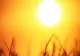 Cupola de foc se apropie de România - caniculă insuportabilă: temperaturi de 42 de grade la umbră