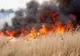 VIDEO Nouă incendii violente de vegetație uscată în Tulcea