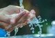 Măsuri de prevenire pentru perioada caniculară 