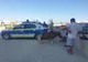 FOTO Ponei chinuiți pe plajă, salvați de polițiști. Amendă drastică pentru proprietari