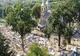 Mii de oameni au ajuns deja la pelerinajul de la Mănăstirea Nicula pentru a sărbători praznicul de Sfânta Maria