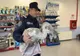 FOTO VIDEO Pui de lebădă rănit, salvat de pe un lac din Tulcea