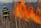Incendiu violent de vegetație uscată la Hârșova