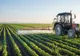 Agricultorii care își fac singuri tratamente fitosanitare în livadă sau pe câmp ar putea face pușcărie