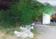 Amenzi de peste 180 mii de lei pentru cei care aruncă deșeurile la întâmplare