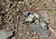 Noi resturi de drone rusești descoperite în România