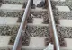 Persoană lovită mortal de un tren între Neptun și Costinești. Două garnituri au avut întârzieri de peste 90 de minute