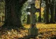 Care e explicația pentru sacii cu oase umane descoperiți într-un cimitir din Slatina