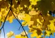 Vreme instabilă sâmbătă, 19 septembrie: averse, descărcări electrice și vânt puternic în mai multe zone, dar temperaturi de până la 32°C