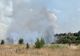 VIDEO Incendiu violent la Medgidia. 50 de hectare de vegetație uscată făcute scrum