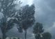 ATENȚIONARE METEOROLOGICĂ – COD GALBEN DE VÂNT PUTERNIC